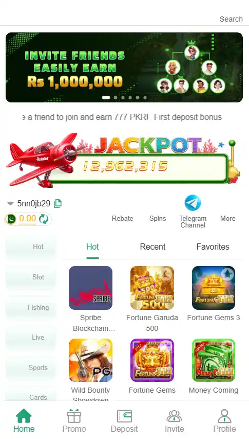 Game's interface image