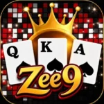 zee9 game feature image